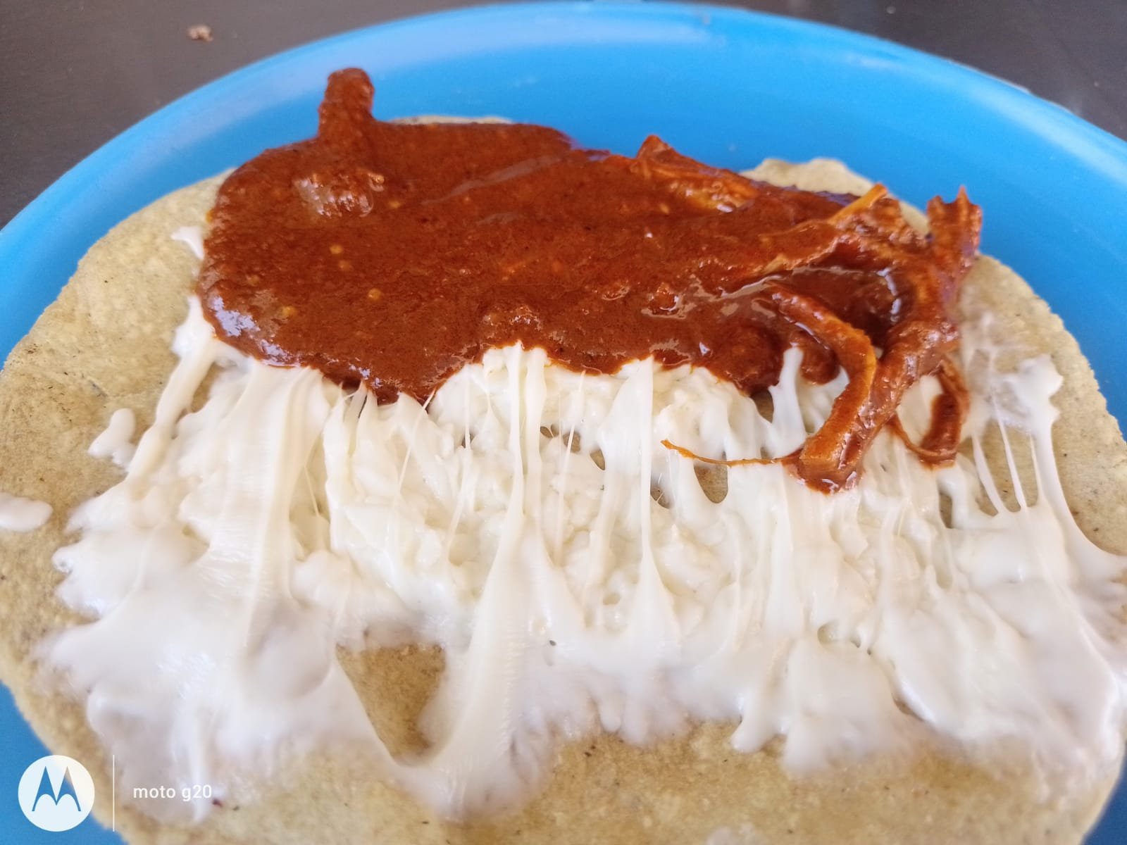 Quesadillas con guiso